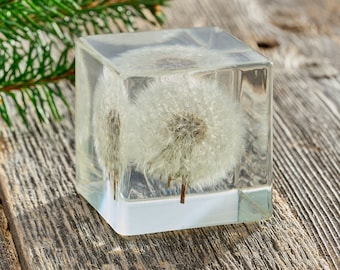 Dandelion Paperweight, Handmade Resin Art, Wish Cube Decor Paperweight, Desk Accessory, Preserved Flower Gift, Unique Gift for Nature Lovers