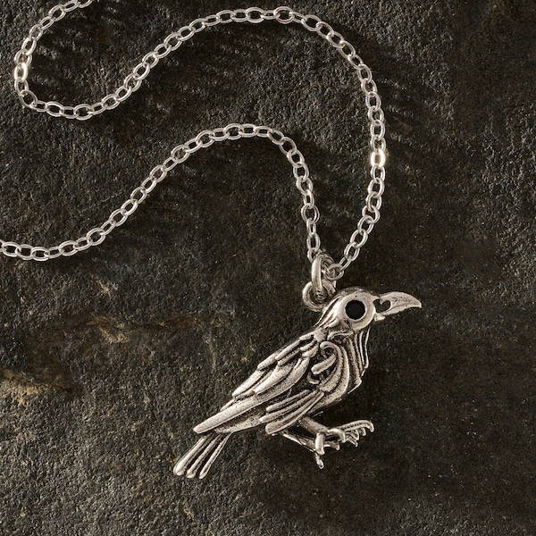 Nevermore Raven Necklace, Edgar Allan Poe Accessory, Mystical Jewelry, Gothic Necklace, Halloween Necklace, Fall Jewelry, 3D Bird Jewelry