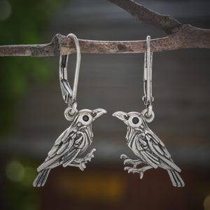 May include: A pair of silver-toned bird earrings. Each earring features a detailed bird design with a black eye, hanging from a lever-back clasp. The earrings are suspended from a natural branch against a blurred background.