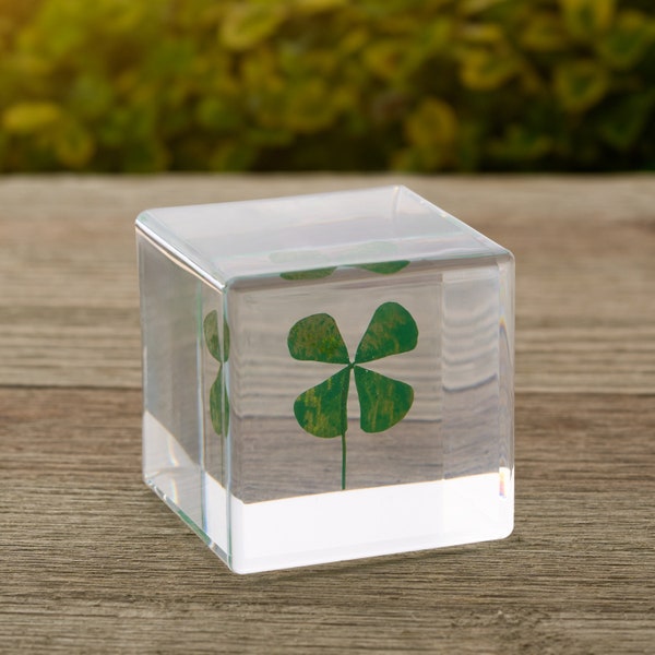 Dried Four-Leaf Clover Paperweight, Handmade Resin Art, Botanical Decor, Irish-themed Decor, Lucky Clover Desk Decor, Nature Lover Gift