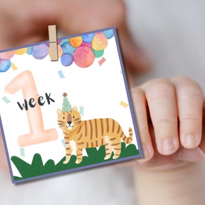 Cartes souvenir d'étape ORANGE Baby (sur le thème de la fête colorée à l'aquarelle pastel animal mignon) - fichier numérique téléchargeable et imprimable