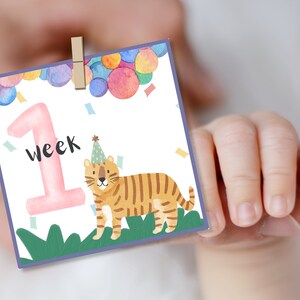 Cartes de souvenir d'étape de bébé ROSE (sur le thème de la fête colorée d'aquarelle pastel animal mignon) - fichier numérique téléchargeable et imprimable