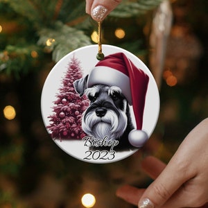 Schnauzer in Kerstmuts Gepersonaliseerde Ornament, Schnauzer Ornament, Schnauzer Gift, Hond Eigenaar Ornament, Hond Eigenaar Gift, Pet Lover Gift