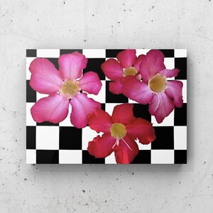 Desert Rose Canvas Print