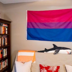 Bisexual Pride Flag LGBTQ Indoor Outdoor Waterproof Progress Flag Intersex Gay Lesbian wlw Transgender Pansexual 3 x 5 Rainbow Flag LGBTQIA+