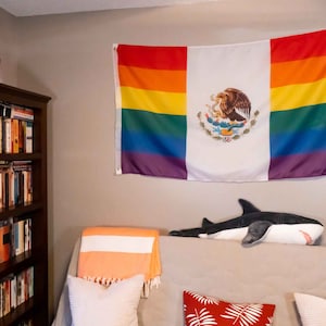 Mexican Pride Flag LGBTQ Indoor Outdoor Waterproof Mexico Flag Intersex Gay Lesbian wlw Transgender Pansexual 3 x 5 Rainbow Flag LGBTQIA+
