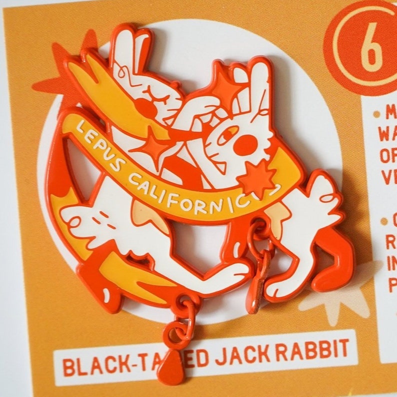 Jack Rabbits 2