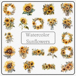Clipart de girassóis aquarela - Pacote de 20 imagens PNG - 300dpi - estilo boho - Download instantâneo - Uso comercial