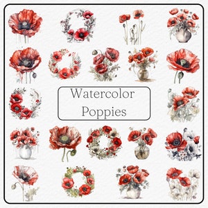 Clipart de papoulas aquarela - Pacote de 20 imagens PNG - 300dpi - estilo boho - Download instantâneo - Uso comercial