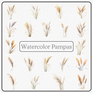 Watercolor Pampas Clipart - 20 PNG images Bundle - 300dpi - boho style - Instant Download- Commercial Use