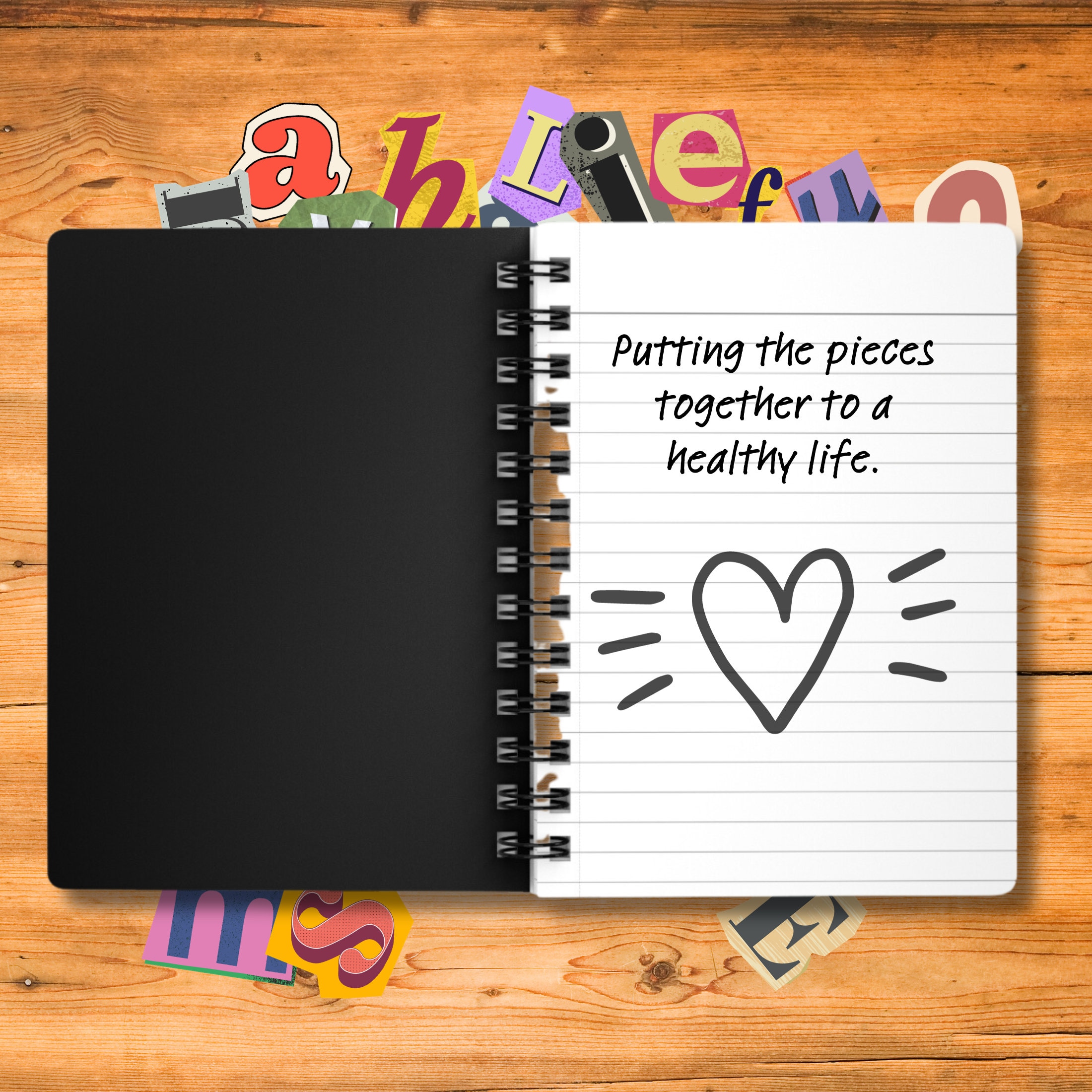 Fun Case Manager Journal, Notebook for Care Manager, Note Book for Case