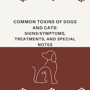 VetTech Reference Cards, DIGITAL DOWNLOAD Common Toxins of Dogs and Cats