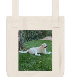 Sun gazing Lab canvas tote bag