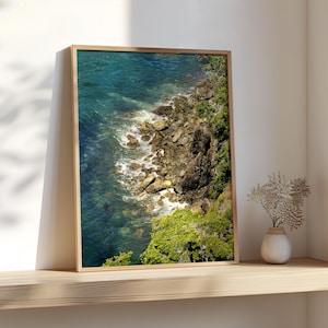 Fotografie, Puget Sound, Küste von Washington, Wald, minimalistische Kunst, Pazifischer Nordwesten, Küste, Tide Pools