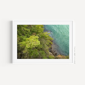 Fotografie, Puget Sound, Küste von Washington, Wald, minimalistische Kunst, Pazifischer Nordwesten, Küste, Tide Pools