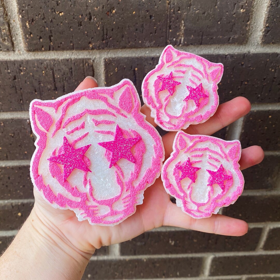 Preppy Tiger Star Eyes Car Freshies Custom Luxury Car Decor Air