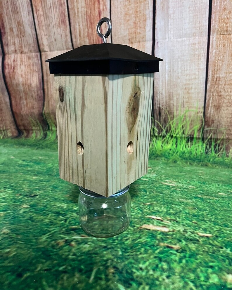 Carpenter Bee trap image 1