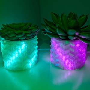 Op de afbeelding: Twee witte geometrische potten met vetplanten, verlicht van binnenuit door turquoise en roze LED-verlichting.