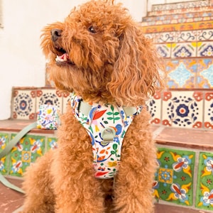 A Bird&#39;s World Dog Harness Walking Set