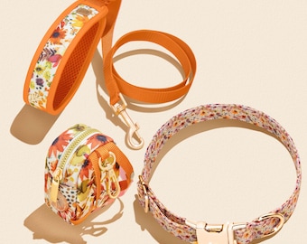 Sunflower Florals Dog Collar Walking Set