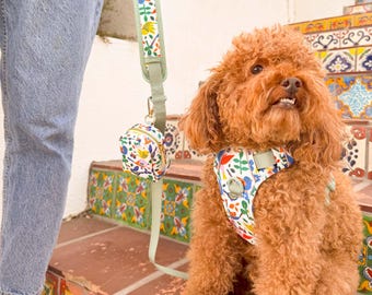 A Bird's World Dog Harness & Matching Walk Accessories