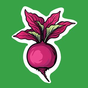 Puede incluir: Una ilustración de dibujos animados de una remolacha con hojas verdes. La remolacha es rosa y tiene un tallo blanco.