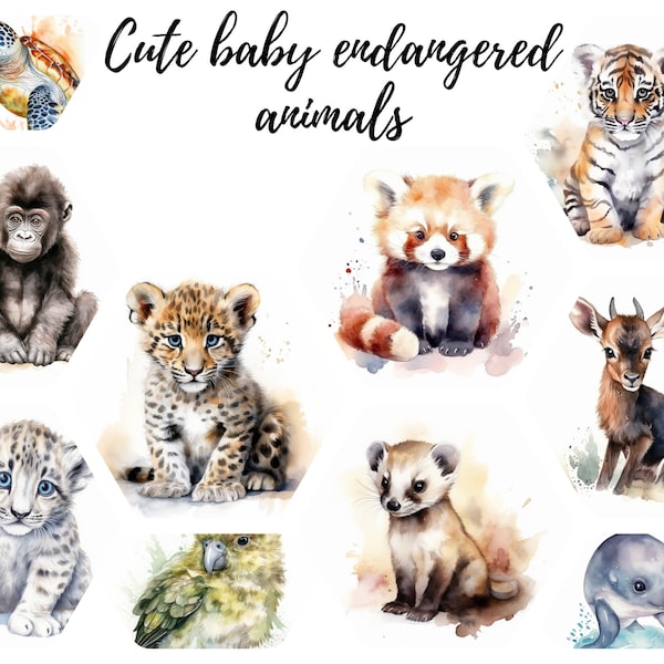 11 espèces en voie de disparition bébé animaux aquarelle Clipart, JPEG, artisanat numérique pour pépinière, clipart mignon, téléchargement immédiat, utilisation commerciale