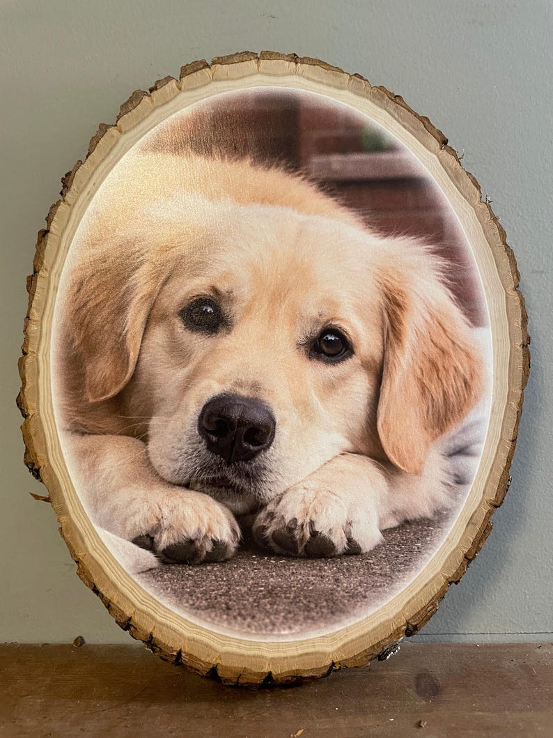 Custom Colored Photo Print on Wood Slice — Personalized Pet Portrait