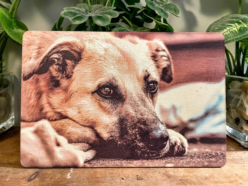 Custom Colored Photo Print on Wood Sheet — Pet Memorial