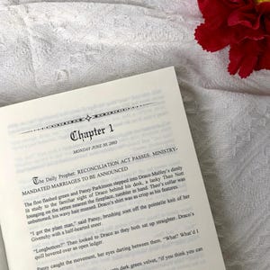 Bloody Slutty & Pathetic Hardcover Book | Dark Romance Fanfiction Collector Edition | Dramione Fanmade Fantasy Book | BookTok Romance Gift bild 5