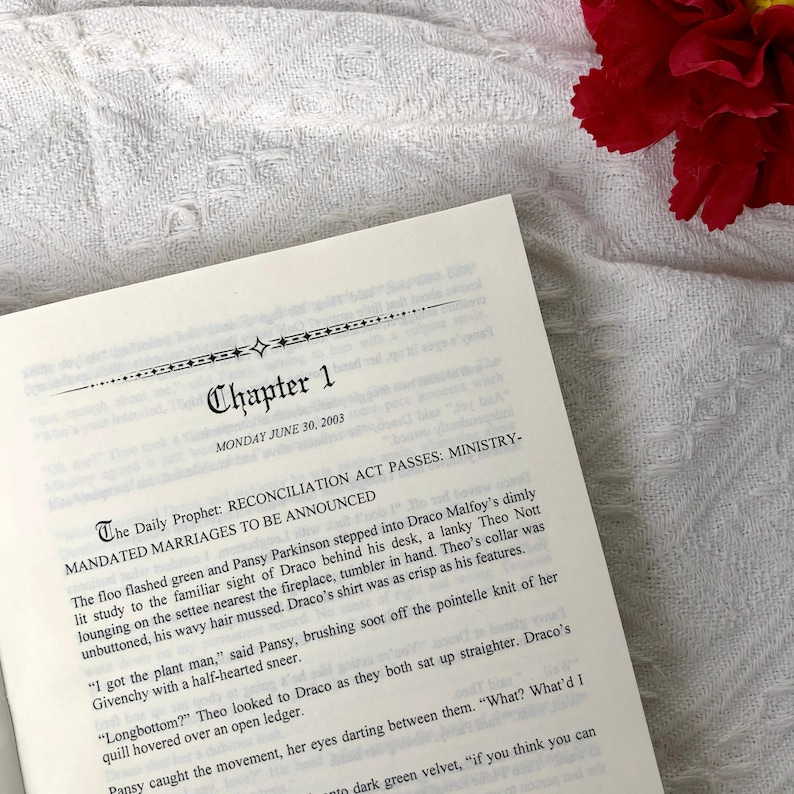Bloody Slutty & Pathetic Hardcover Book | Dark Romance Fanfiction Collector Edition | Dramione Fanmade Fantasy Book | BookTok Romance Gift bild 5