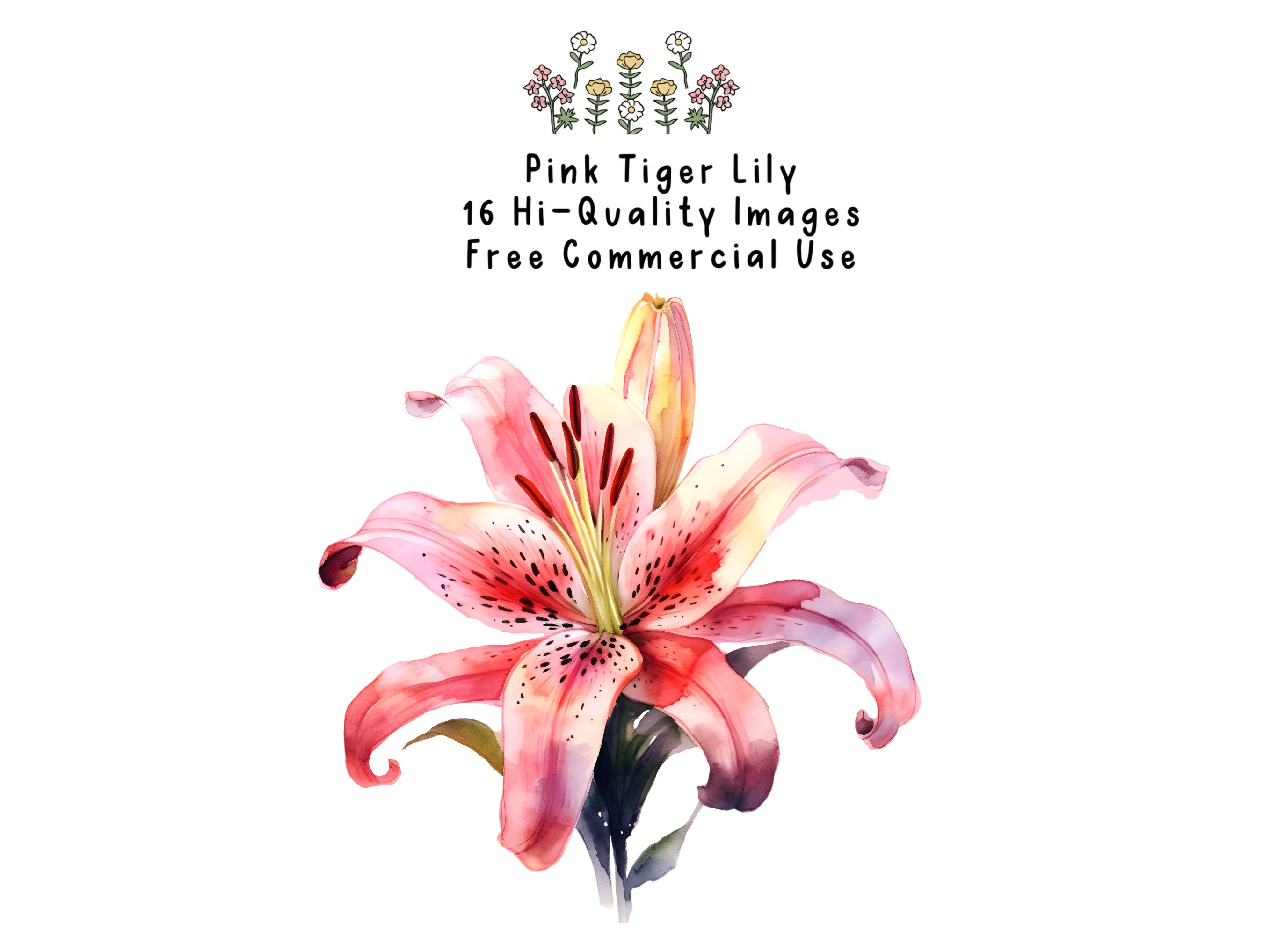 Pink Tiger Lily Clipart, Watercolor Lily, Lily Bouquet, Watercolor