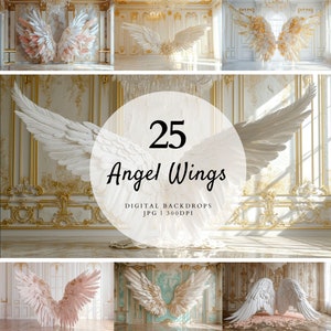 25 Digital Backdrops, Angel Wings Digital Backgrounds, Maternity Backdrop Overlays, Studio Backdrops, Photoshop Fine Art Textures