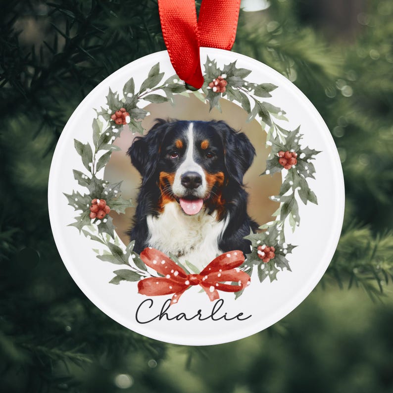 May include: A round, white Christmas ornament featuring a Bernese Mountain Dog. The dog is surrounded by a wreath of green leaves, red berries, and a red bow. The name "Charlie" is written in script below the dog.