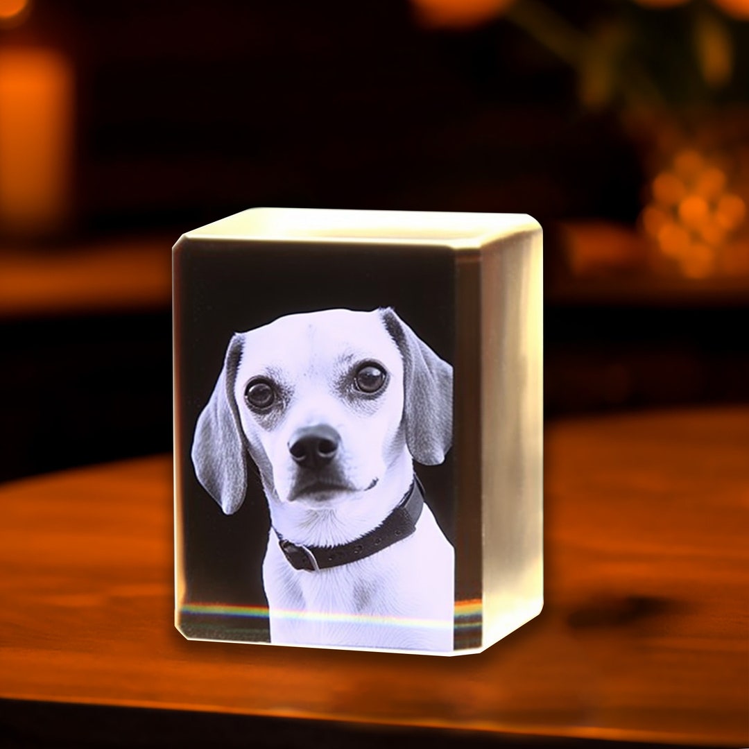 Custom LED Cat Lamp,pet Memorial Ornament,3d Pet Photo Light,pet Photo