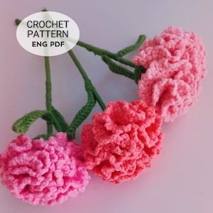May include: Crochet pattern for three pink carnations with green stems. The pattern is available in English and is in PDF format.  The text "CROCHET PATTERN ENG PDF" is written in a white circle on a black background.