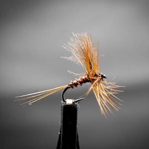 Biot May Fly: Dry Fly for Trout, Grayling, Barbel (Sizes 16-20)