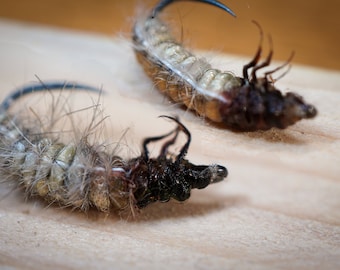 Pesca con mosca - Larva de tricópteros - Limnephilidae - Realista - Trucha, tímalo, barbo