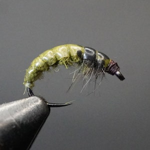 Hydropsyche Caddis Larva Fly: Realistic Trout Fly