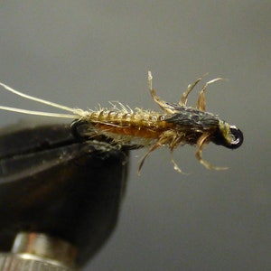 Fly fishing - Baetis Nymph - Realistic flies for Trout, grayling, barbel