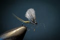 Fly fishing -BWO May fly - Realistic - Trout, grayling, barbel product logo