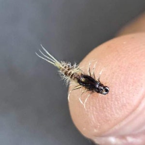 Fly fishing - Baetis Nymph - Realistic flies for Trout, grayling, barbel