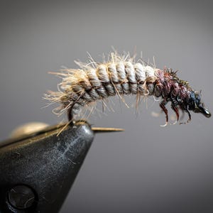 Pode incluir: Um close-up de uma isca de pesca com mosca, uma imitação realista de uma larva de tricóptero. A isca é feita de materiais castanhos, brancos e pretos e tem um corpo segmentado.