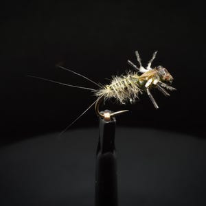 Fly fishing-May Fly Nymph - Heptagenia - Realistic - Trout, grayling, barbel