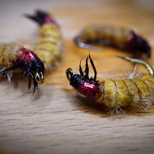 May include: Close-up of several artificial fishing lures, designed to resemble insect larvae. The lures have a yellow body, red and black head, and a gold hook. They are arranged on a wooden surface.
