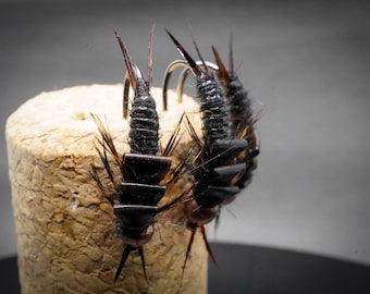 Realistic Style Stonefly Nymphs - Etsy 日本