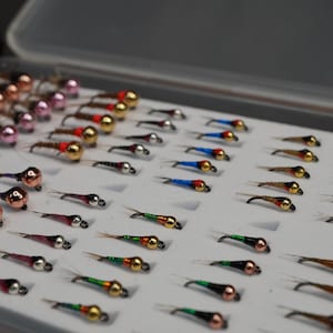 Nymph Box -Mixed box with  perdigon and heavy nymph (70 pcs) Euronymphing - Free Shipping, Perfect for Fly Fishing Enthusiasts and Beginners