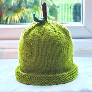 May include: A green knitted hat shaped like a pear with a brown stem and green leaves on top.