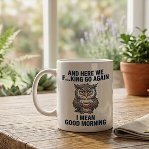 Mug with grumpy owl And Here We Go Again Funny coffee gift image 2