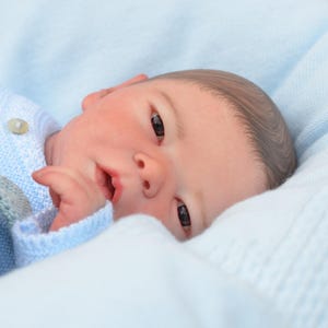 Reborn Baby